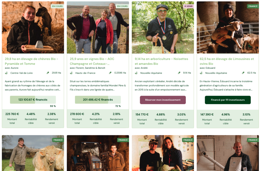 Exemples d'opportunités d'investissement dans les terres agricoles sur le site d'Hectarea